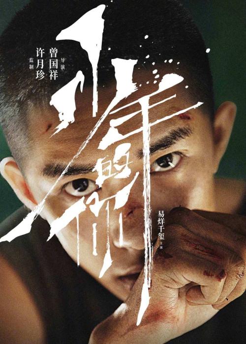 弗朗什-孔泰大学公共管理文凭证书